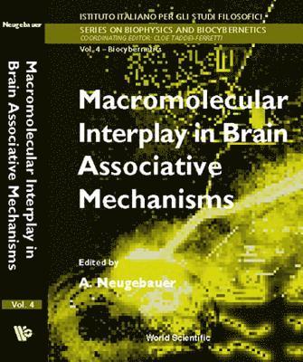 Macromolecular Interplay In Brain Associative Mechanisms 1