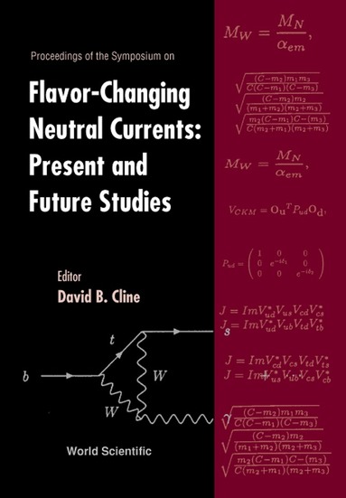 DAVID CLINE, David B Cline - FLAVOR-CHANGING NEUTRAL CURRENTS: PRESENT AND FUTURE STUDIES: PROCEEDINGS OF THE SYMPOSIUM, Inbunden