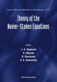 bokomslag Theory Of The Navier-stokes Equations