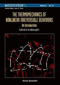 bokomslag Thermomechanics Of Nonlinear Irreversible Behaviours, The