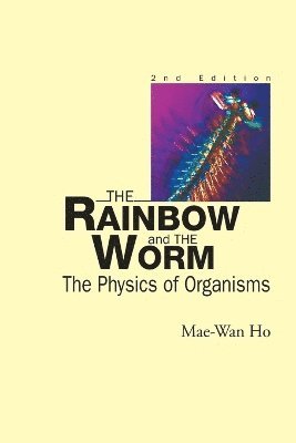 bokomslag Rainbow And The Worm, The: The Physics Of Organisms (2nd Edition)