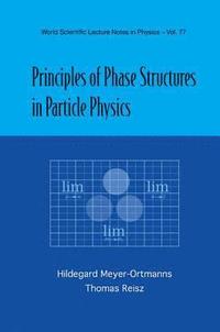 bokomslag Principles Of Phase Structures In Particle Physics