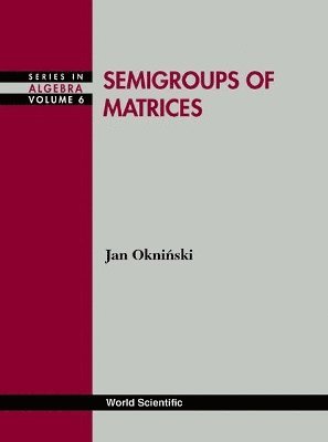 bokomslag Semigroups Of Matrices