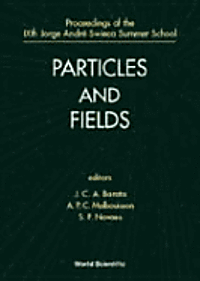 PARTICLES & FIELDS-IXTH JORGE ANDRE