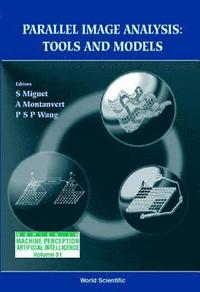 bokomslag Parallel Image Analysis: Tools And Models