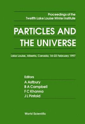 AL A CAMPBELL CAMPELL AL A ASTBURY, A Astbury, B A Campbell, Khanna, J L Pinfold - PARTICLES AND THE UNIVERSE: PROCEEDINGS OF THE 12TH LAKE WINTER INSTITUTE, Inbunden