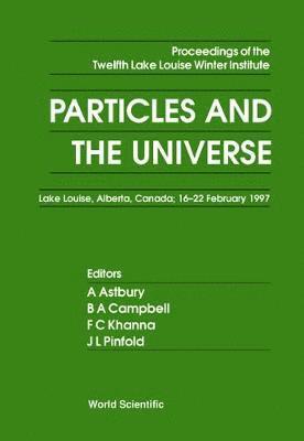 bokomslag Particles And The Universe: Proceedings Of The 12th Lake Winter Institute