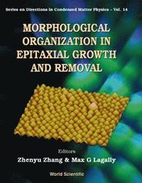 bokomslag Morphological Organization In Epitaxial Growth And Removal