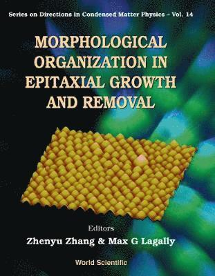 bokomslag Morphological Organization In Epitaxial Growth And Removal