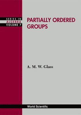 bokomslag Partially Ordered Groups
