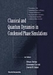 bokomslag Classical and Quantum Dynamics in Condensed Phase Simulations