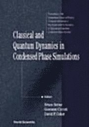 BERNE BRUCE J, Bruce J. Berne, Giovanni Ciccotti, Bruce J Berne, David F Coker - Classical and Quantum Dynamics in Condensed Phase Simulations: Proceedings of the International School of Physics, Inbunden
