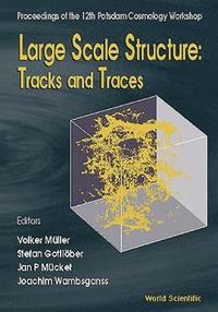 bokomslag Large Scale Structure: Tracks And Traces - Proceedings Of 12th Potsdam Cosmology Workshop