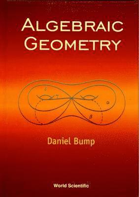 bokomslag Algebraic Geometry