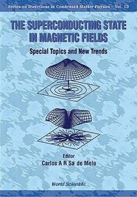 bokomslag Superconducting State In Magnetic Fields, The: Special Topics And New Trends
