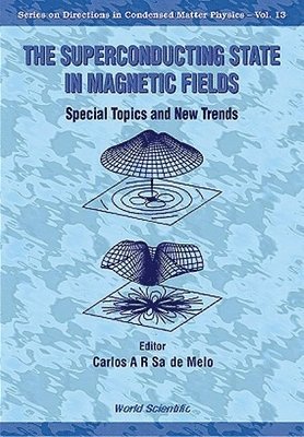 bokomslag Superconducting State In Magnetic Fields, The: Special Topics And New Trends