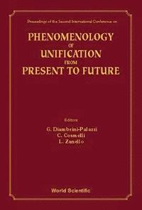 bokomslag Phenomenology Of Unification From Present To Future - Proceedings Of The 2nd International Conference On