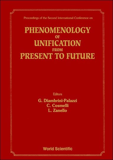 AL COSMELLI & ET AL G DIAMBRINI-PALAZZI, G Diambrini-Palazzi, C Cosmelli, L Zanello - PHENOMENOLOGY OF UNIFICATION FROM PRESENT TO FUTURE - PROCEEDINGS OF THE 2ND INTERNATIONAL CONFERENCE ON, Inbunden
