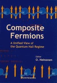 bokomslag Composite Fermions, A Unified View Of The Quantum Hall Regime