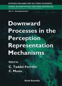 bokomslag Downward Processes In The Perception Representation Mechanisms - Proceedings Of The International School Of Biocybernetics