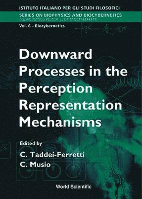 bokomslag Downward Processes In The Perception Representation Mechanisms - Proceedings Of The International School Of Biocybernetics