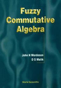 bokomslag Fuzzy Commutative Algebra