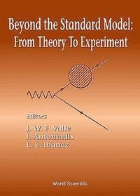 bokomslag Beyond The Standard Model: From Theory To Experiment