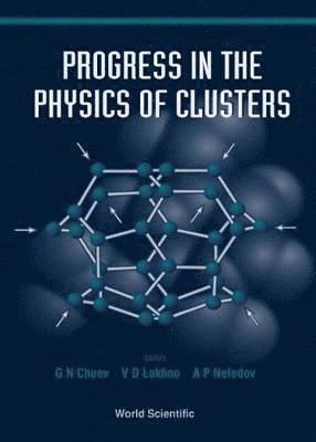 bokomslag Progress In The Physics Of Clusters