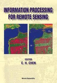 bokomslag Information Processing For Remote Sensing