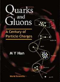 bokomslag Quarks And Gluons: A Century Of Particle Charges