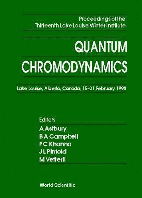 bokomslag Quantum Chromodynamics - Proceedings Of The Thirteenth Lake Louise Winter Institute