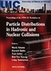 bokomslag Particle Distributions in Hadronic and Nuclear Collisions: Proceedings of 1998 Uic Workshop