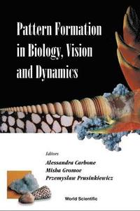 bokomslag Pattern Formation In Biology, Vision And Dynamics
