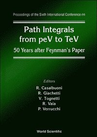 bokomslag Path Integrals From Pev To Tev: 50 Years After Feynman's Paper - Proceedings Of The Sixth International Conference