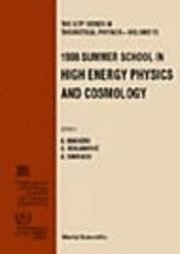 bokomslag High Energy Physics and Cosmology 1998 - Proceedings of the Summer School