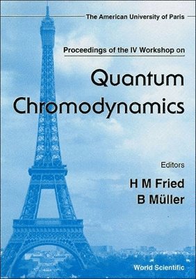 bokomslag Quantum Chromodynamics - Proceedings of the IV Workshop