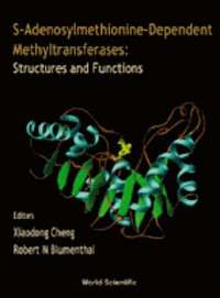 bokomslag S-adenosylmethionine-dependent Methyltransferases: Structures And Functions