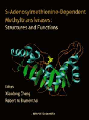 bokomslag S-adenosylmethionine-dependent Methyltransferases: Structures And Functions