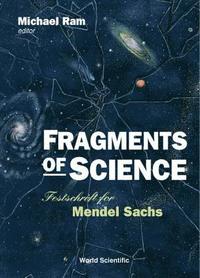 bokomslag Fragments Of Science: Festschrift For Mendel Sachs
