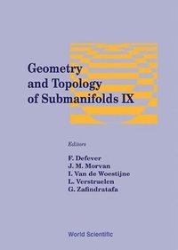 bokomslag Geometry And Topology Of Submanifolds Ix