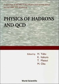 bokomslag Physics of Hadrons and QCD - Proceedings of the Apctp-Rcnp Joint International School and 1998 Yitp Workshop