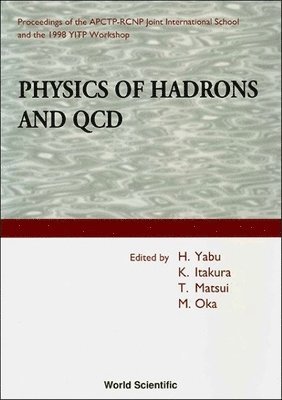 bokomslag Physics of Hadrons and QCD - Proceedings of the Apctp-Rcnp Joint International School and 1998 Yitp Workshop
