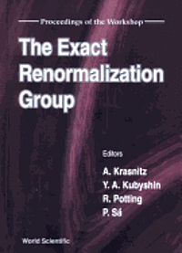 bokomslag Exact Renormalization Group, the - Proceedings of the Workshop
