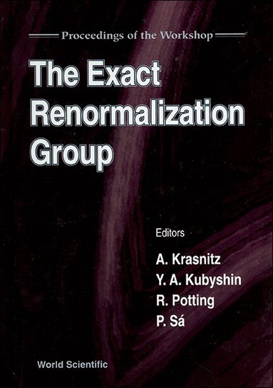KUBSHIN POTTING SA & Y A KUB A KRASNITZ, A Krasnitz, Y A Kubyshin, R Potting, P Sá - EXACT RENORMALIZATION GROUP, THE - PROCEEDINGS OF THE WORKSHOP, Inbunden