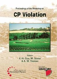 bokomslag Cp Violation - Proceedings Of The Workshop