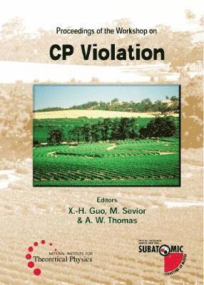 bokomslag Cp Violation - Proceedings Of The Workshop