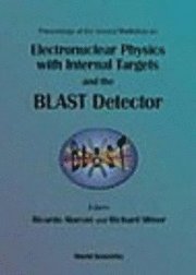 bokomslag Electronuclear Physics with Internal Targets and the Blast Detector: Proceedings of the Second Workshop