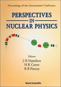 bokomslag Perspectives in Nuclear Physics - Proceedings of the International Conf