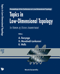 bokomslag Topics in Low Dimensional Topology: In Honor of Steve Armentrout - Proceedings of the Conference on Low-Dimensional Topology