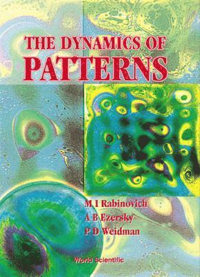 Dynamics Of Pattern, The 1